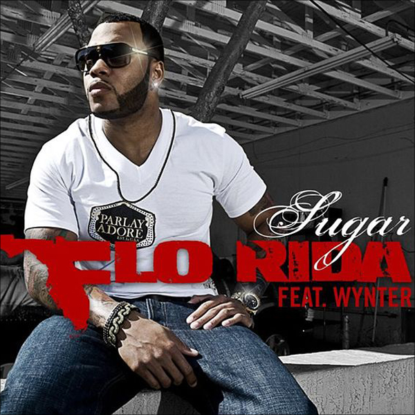 flo rida sugar disco fries remix